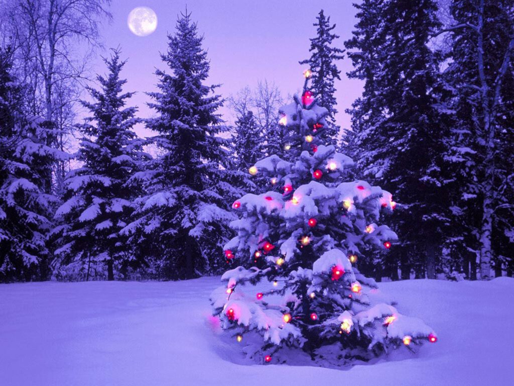 Christmas Tree and snow Wallpaper